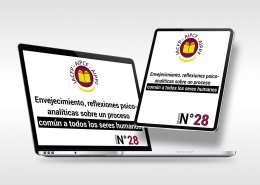 articulo_28