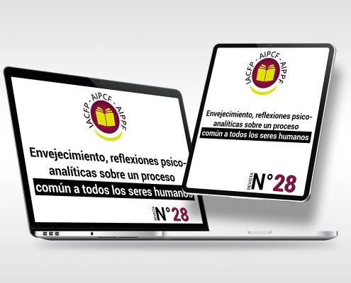 articulo_28