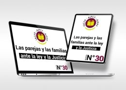 articulo_revista_30