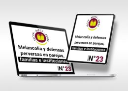articulo_23