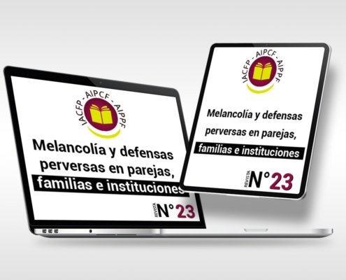 articulo_23
