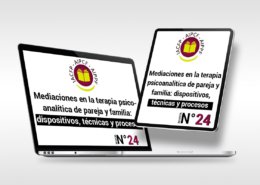articulo_24