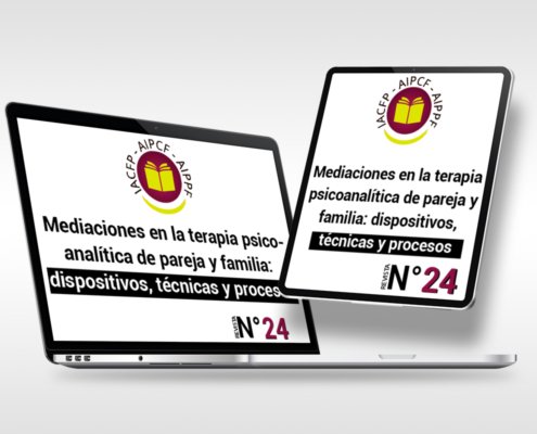 articulo_24
