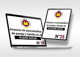 Articulo_25
