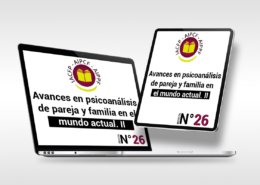 articulo_26