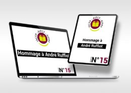 art_15_fr
