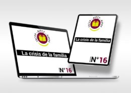 articulo_16
