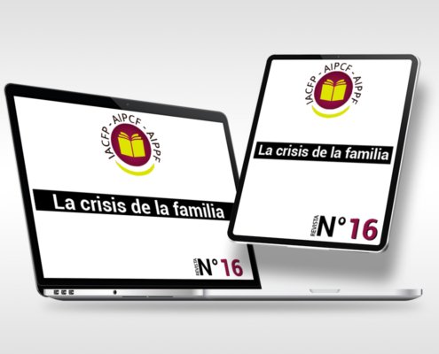articulo_16