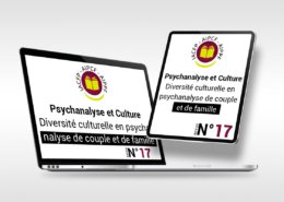 article_17