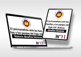 art_11_es