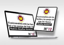 articulo12_es