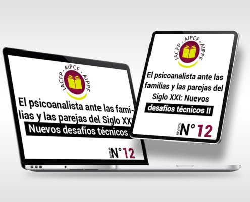 articulo12_es