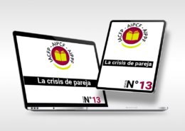 articulo13-es